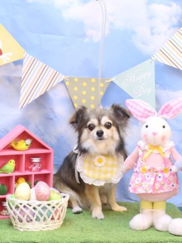 20240316あもちゃん